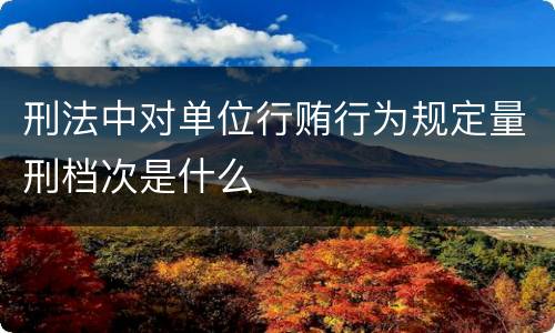 刑法中对单位行贿行为规定量刑档次是什么