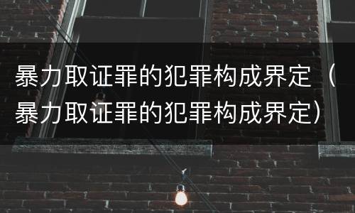 暴力取证罪的犯罪构成界定（暴力取证罪的犯罪构成界定）