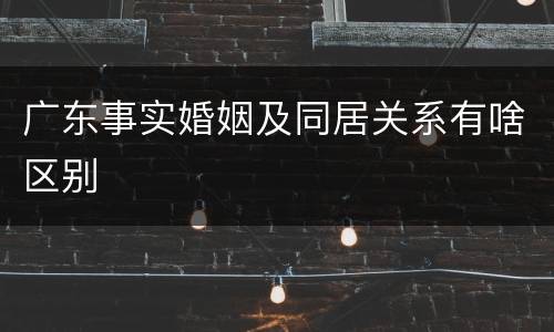广东事实婚姻及同居关系有啥区别