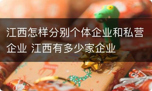 江西怎样分别个体企业和私营企业 江西有多少家企业