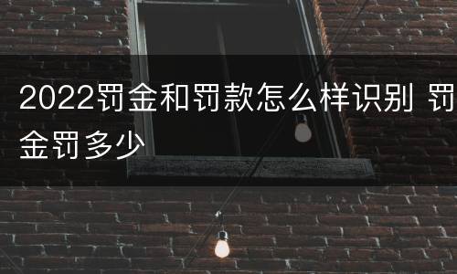 2022罚金和罚款怎么样识别 罚金罚多少
