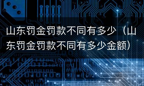 山东罚金罚款不同有多少（山东罚金罚款不同有多少金额）