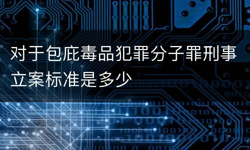 对于包庇毒品犯罪分子罪刑事立案标准是多少