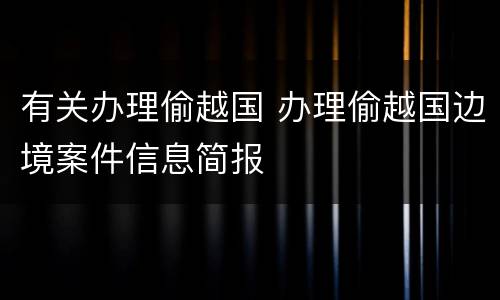 有关办理偷越国 办理偷越国边境案件信息简报