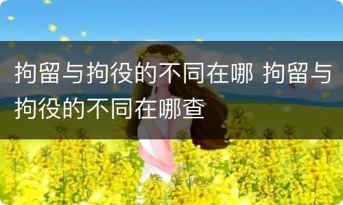 拘留与拘役的不同在哪 拘留与拘役的不同在哪查