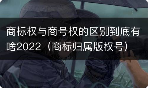 商标权与商号权的区别到底有啥2022（商标归属版权号）
