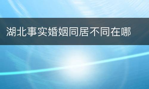 湖北事实婚姻同居不同在哪