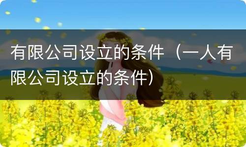 有限公司设立的条件（一人有限公司设立的条件）