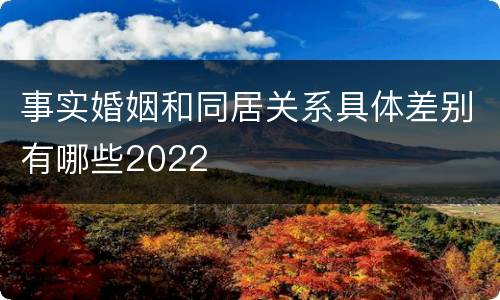 事实婚姻和同居关系具体差别有哪些2022