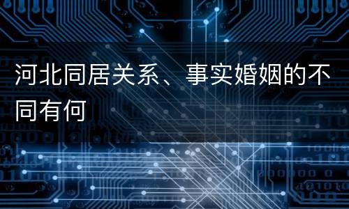 河北同居关系、事实婚姻的不同有何