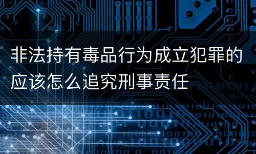 非法持有毒品行为成立犯罪的应该怎么追究刑事责任