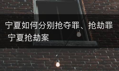 宁夏如何分别抢夺罪、抢劫罪 宁夏抢劫案