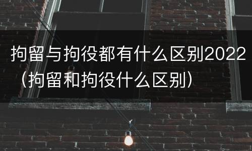 拘留与拘役都有什么区别2022（拘留和拘役什么区别）