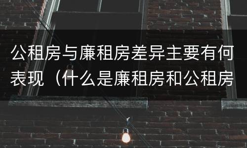 公租房与廉租房差异主要有何表现（什么是廉租房和公租房两个有什么特点）