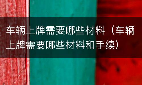 车辆上牌需要哪些材料（车辆上牌需要哪些材料和手续）