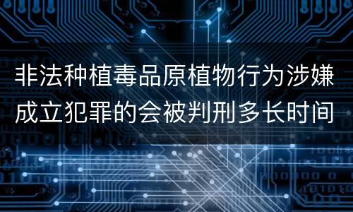 非法种植毒品原植物行为涉嫌成立犯罪的会被判刑多长时间