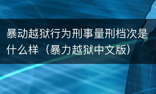 暴动越狱行为刑事量刑档次是什么样（暴力越狱中文版）