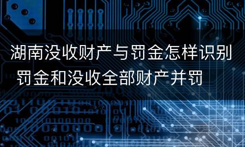 湖南没收财产与罚金怎样识别 罚金和没收全部财产并罚