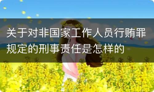 关于对非国家工作人员行贿罪规定的刑事责任是怎样的