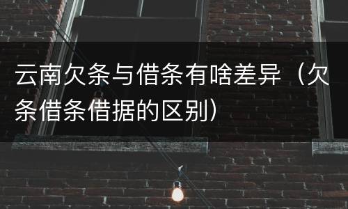 云南欠条与借条有啥差异（欠条借条借据的区别）