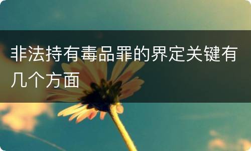 非法持有毒品罪的界定关键有几个方面