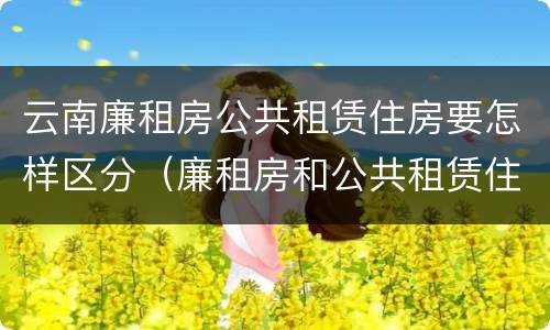 云南廉租房公共租赁住房要怎样区分（廉租房和公共租赁住房的区别）