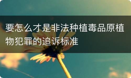 要怎么才是非法种植毒品原植物犯罪的追诉标准