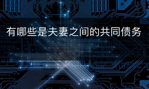 有哪些是夫妻之间的共同债务