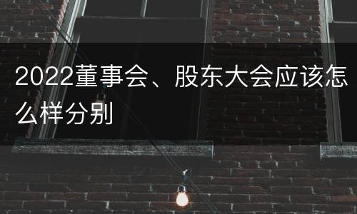 2022董事会、股东大会应该怎么样分别