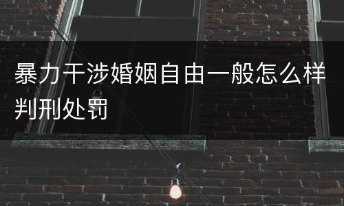 暴力干涉婚姻自由一般怎么样判刑处罚