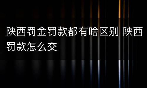 陕西罚金罚款都有啥区别 陕西罚款怎么交