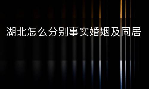 湖北怎么分别事实婚姻及同居