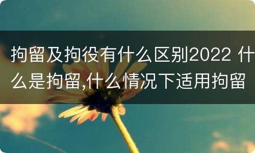 拘留及拘役有什么区别2022 什么是拘留,什么情况下适用拘留