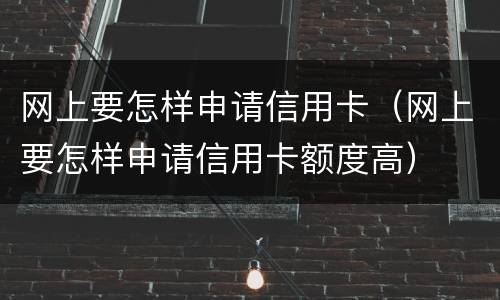 网上要怎样申请信用卡（网上要怎样申请信用卡额度高）