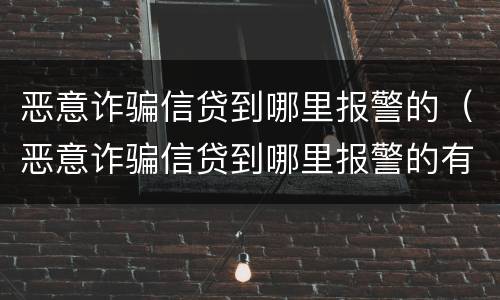 恶意诈骗信贷到哪里报警的（恶意诈骗信贷到哪里报警的有效）