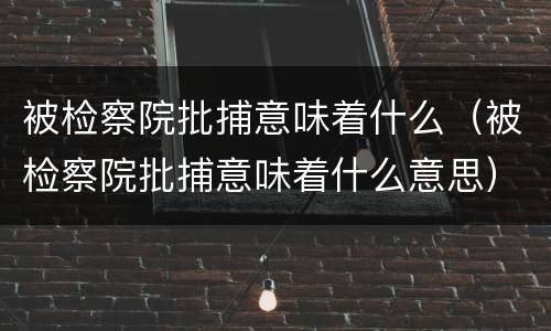 被检察院批捕意味着什么（被检察院批捕意味着什么意思）