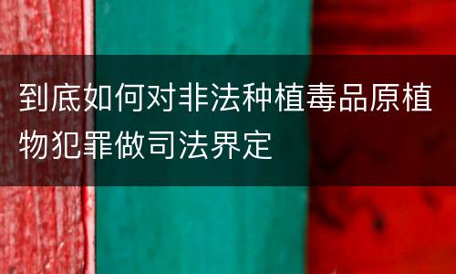 到底如何对非法种植毒品原植物犯罪做司法界定