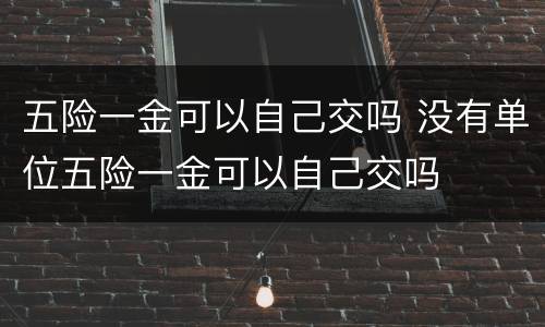 五险一金可以自己交吗 没有单位五险一金可以自己交吗