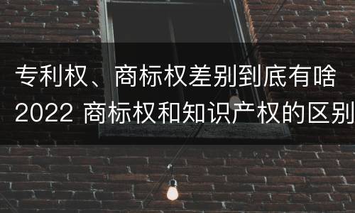 专利权、商标权差别到底有啥2022 商标权和知识产权的区别