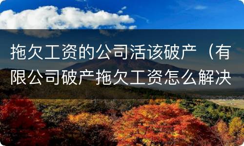 拖欠工资的公司活该破产（有限公司破产拖欠工资怎么解决）