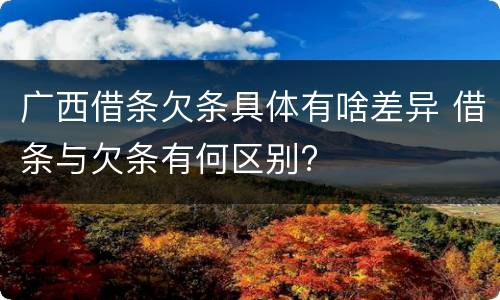 广西借条欠条具体有啥差异 借条与欠条有何区别?