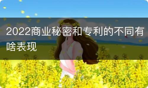 2022商业秘密和专利的不同有啥表现