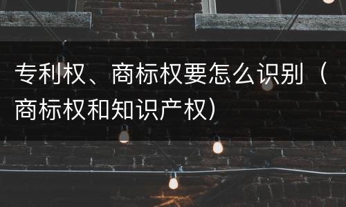 专利权、商标权要怎么识别（商标权和知识产权）