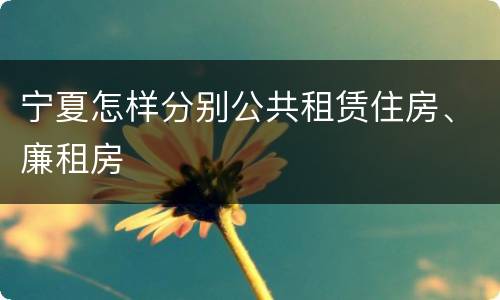 宁夏怎样分别公共租赁住房、廉租房