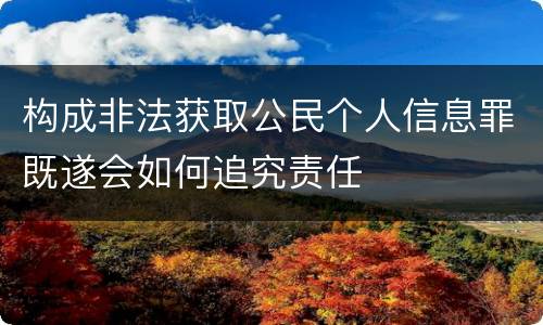 构成非法获取公民个人信息罪既遂会如何追究责任