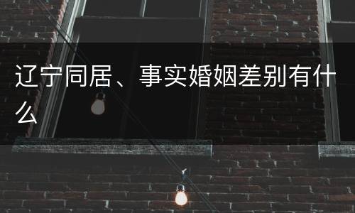 辽宁同居、事实婚姻差别有什么