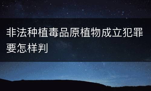 非法种植毒品原植物成立犯罪要怎样判