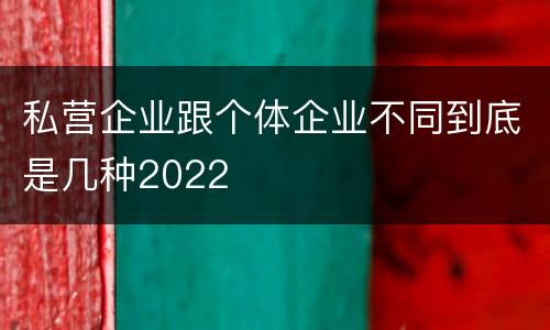 私营企业跟个体企业不同到底是几种2022