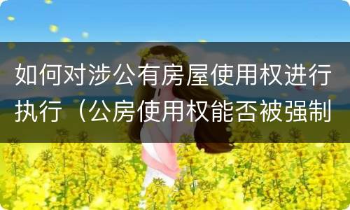 如何对涉公有房屋使用权进行执行（公房使用权能否被强制执行）