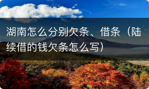 湖南怎么分别欠条、借条（陆续借的钱欠条怎么写）